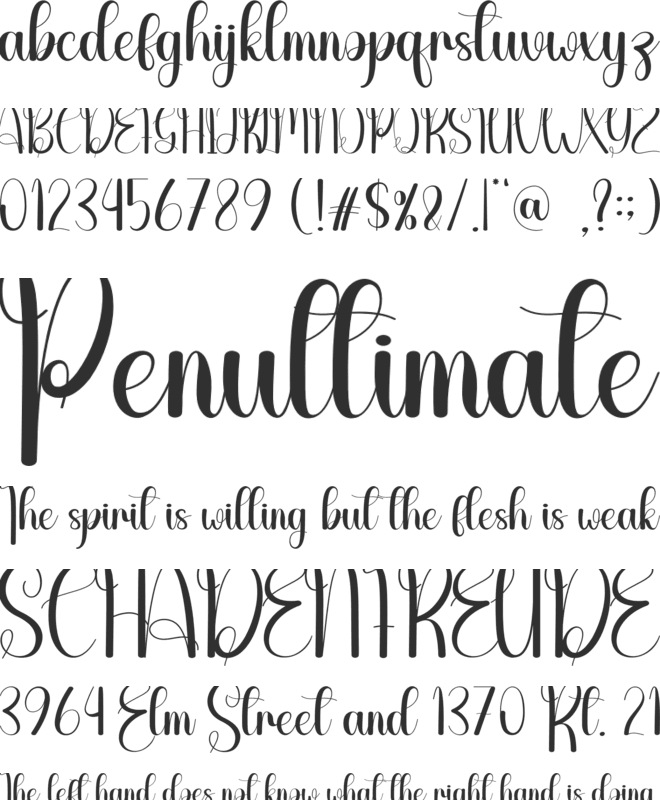 Carnation font preview
