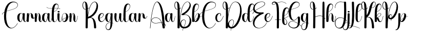 Carnation Regular font