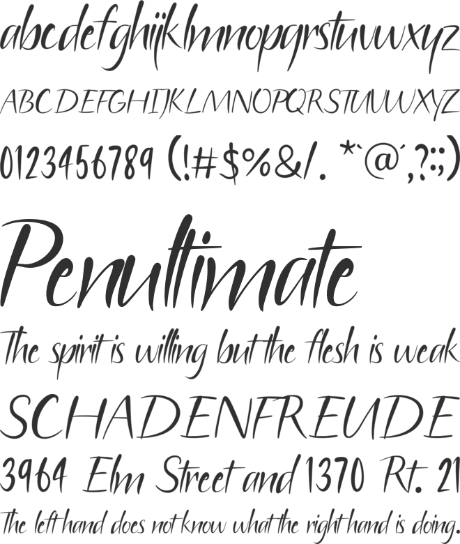 Free for Palestine font preview