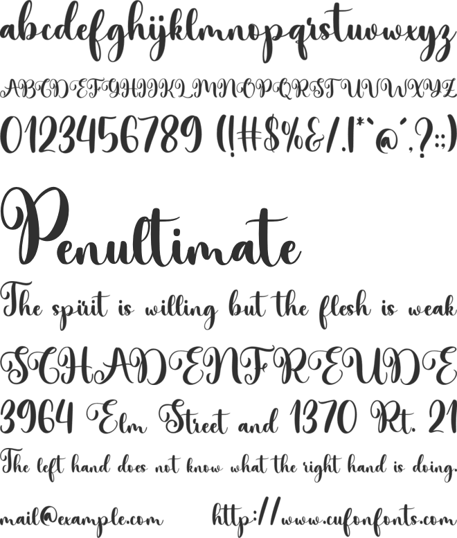 NCL Wittsy Bubry font preview