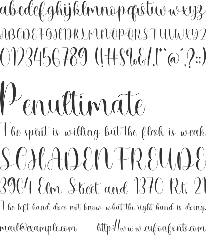 NCL Misty Bouvre font preview