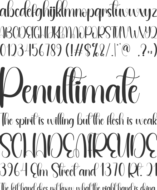 Competence font preview