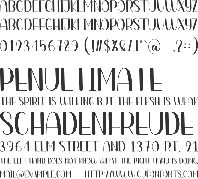 Manager font preview