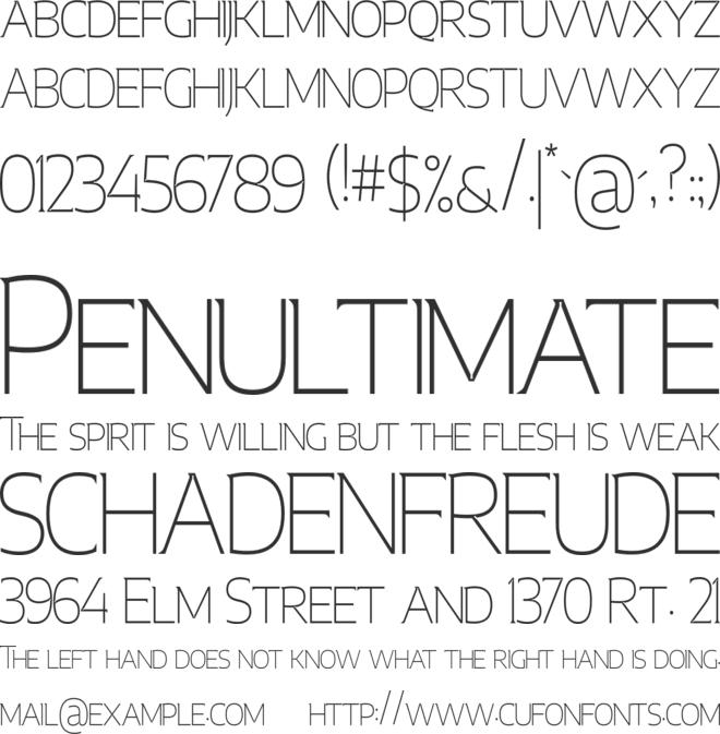 Mesonina font preview