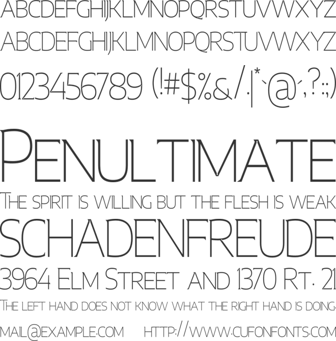 Mesonina font preview