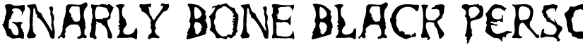 Gnarly Bone Black PERSONAL Regular font