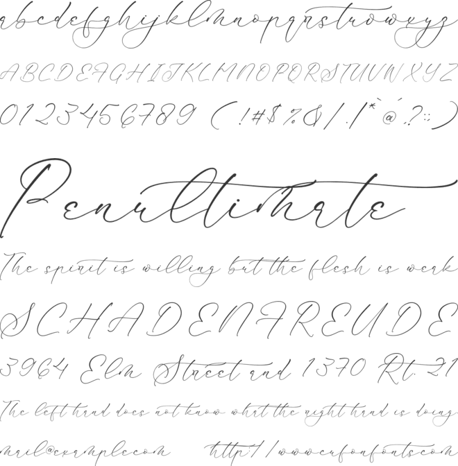 Mindflora Benatio font preview