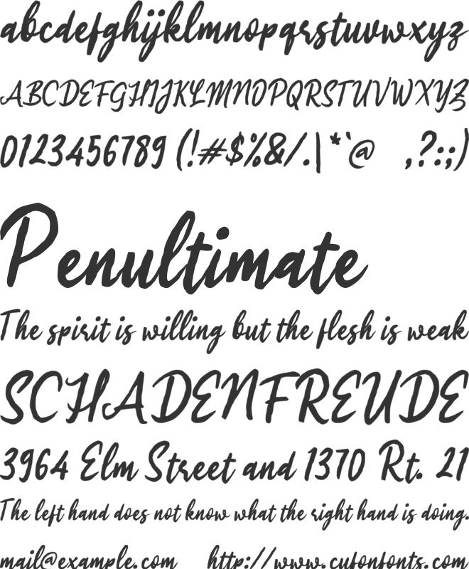 i Izle Wander font preview