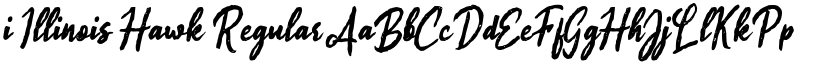 i Illinois Hawk Regular font