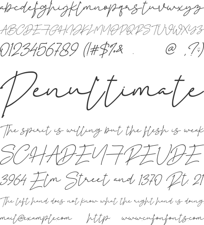 Istanbul Arena  - Persona font preview