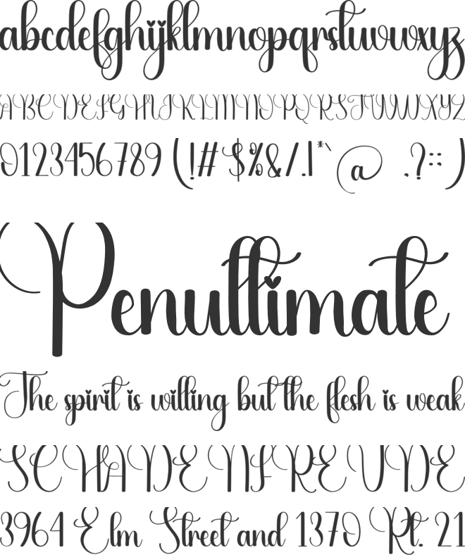 The Anime font preview