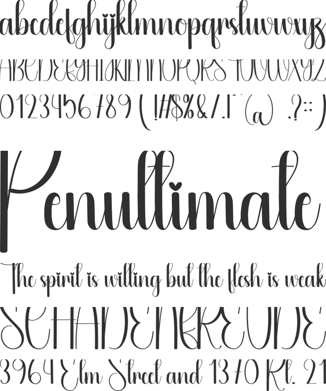Shellina font preview