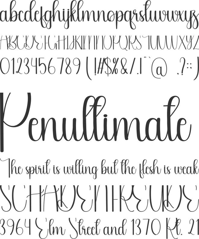Pinoccihio font preview