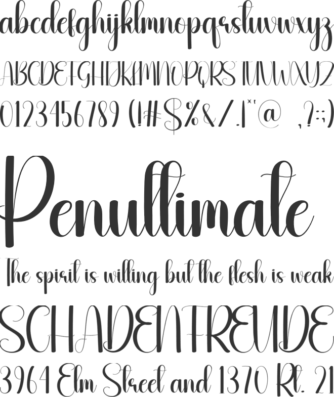 Kinglike font preview