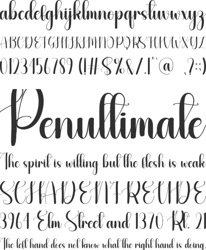 Hermitage font preview