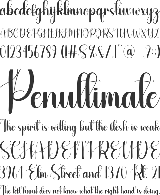 Hermitage font preview