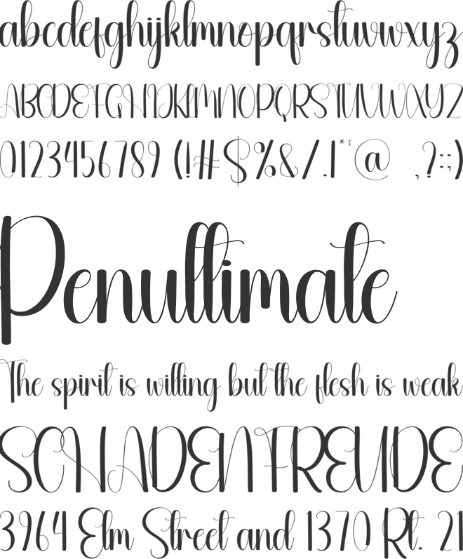 Amused font preview