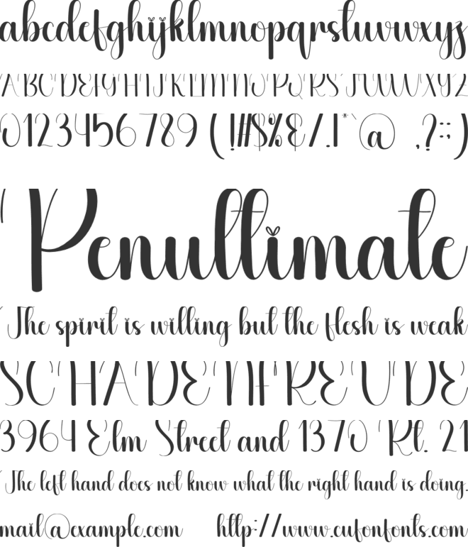 Fieldtrip font preview