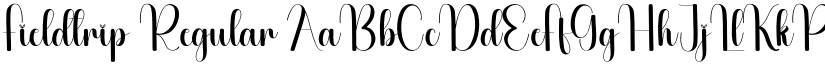 Fieldtrip Regular font