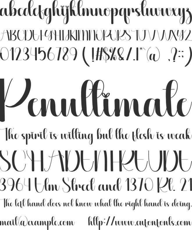Bunch font preview