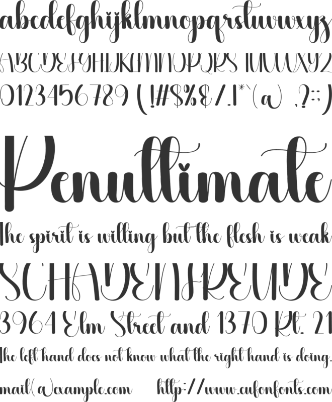 Bestigo font preview