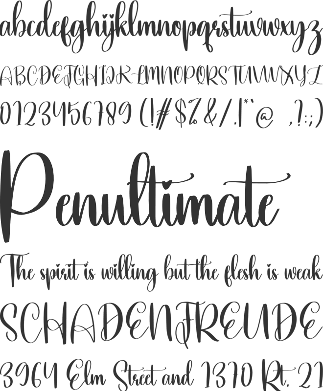 Kindle Font Download Free for Desktop & Webfont
