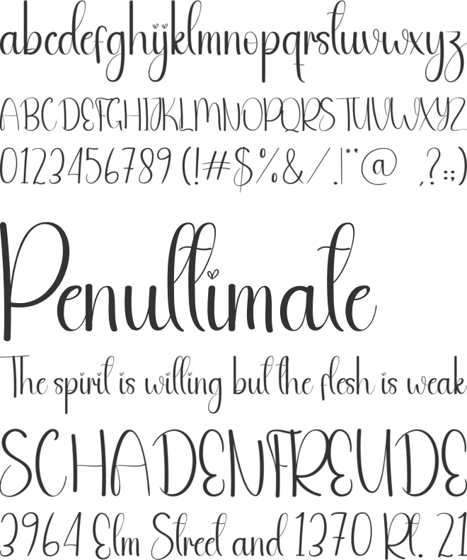 The Jungle font preview