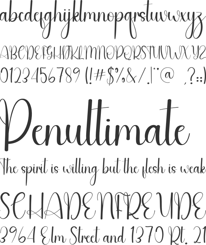 Beach Beauty font preview