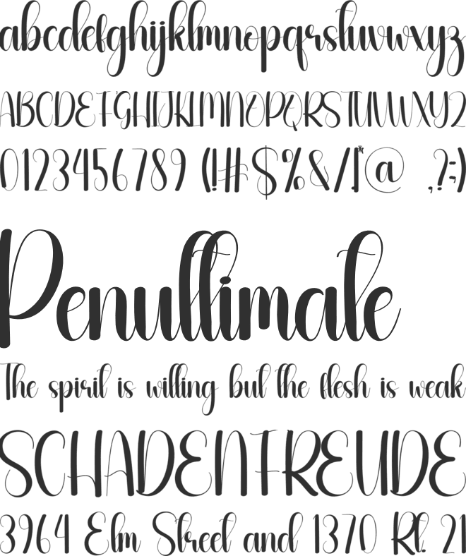 Youngish font preview