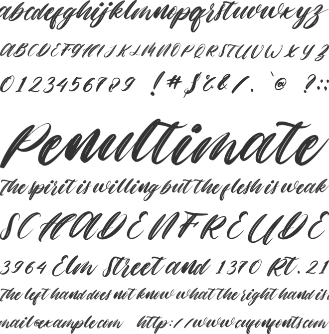 Holla Christmas font preview