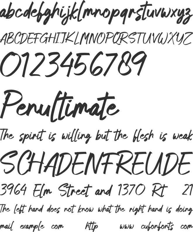Neo Brushly Personal Use font preview