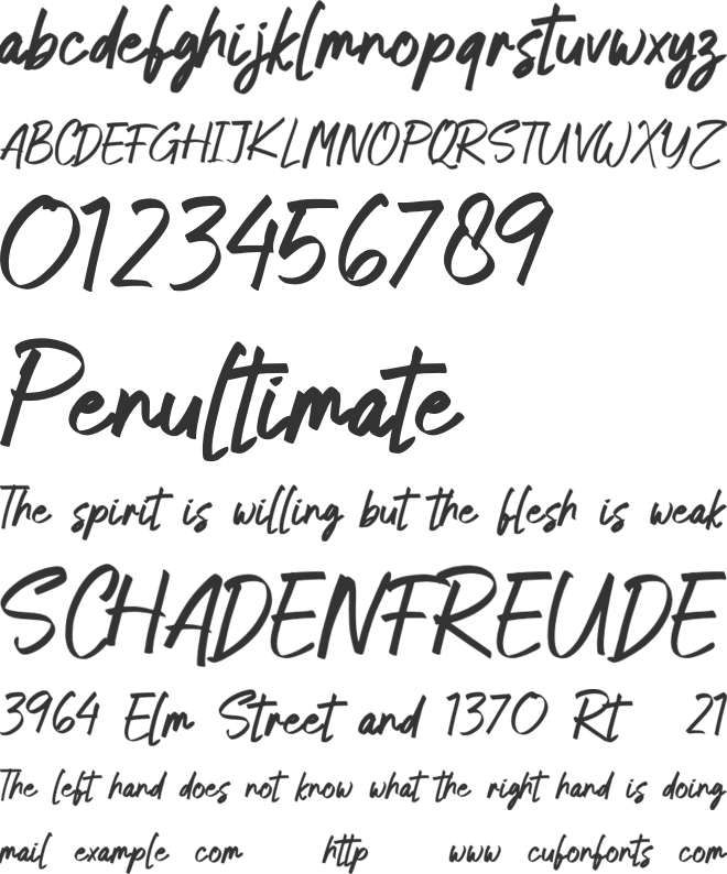 Neo Brushly Personal Use font preview