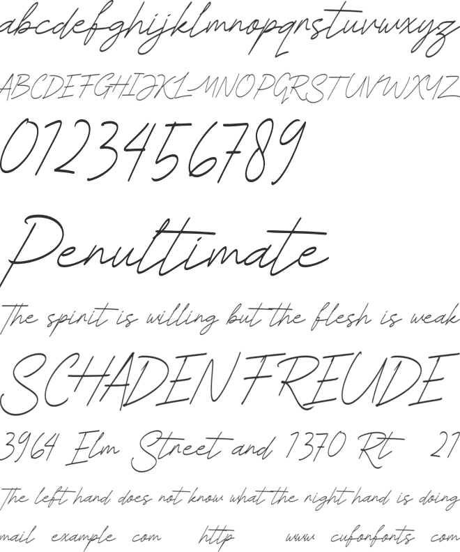 Beatrice Signature Personal Use font preview