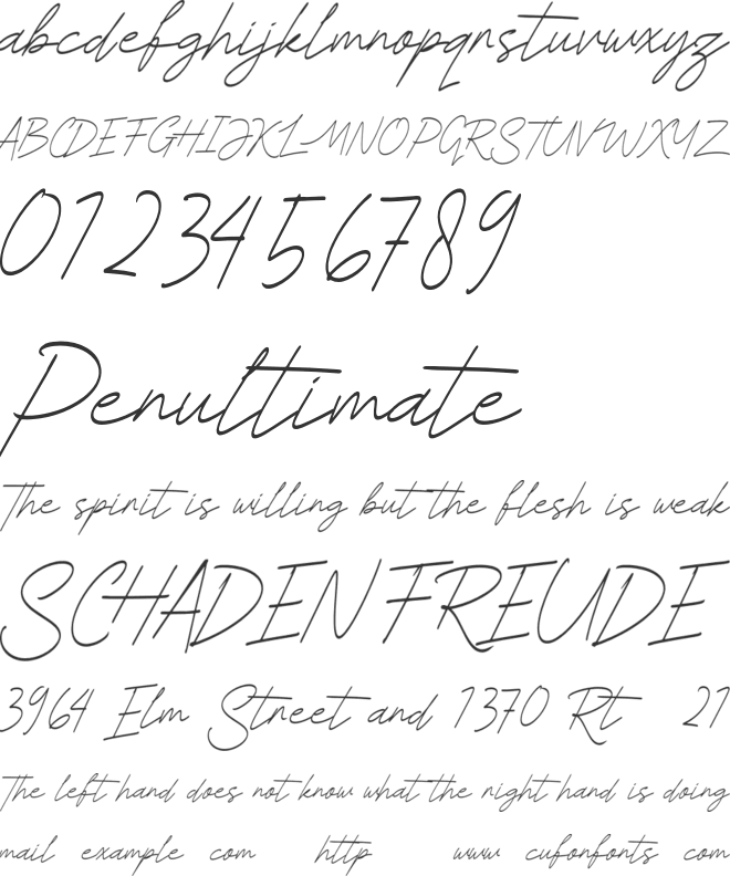 Beatrice Signature Personal Use font preview