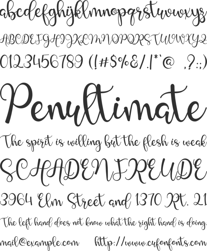 Study In August font preview