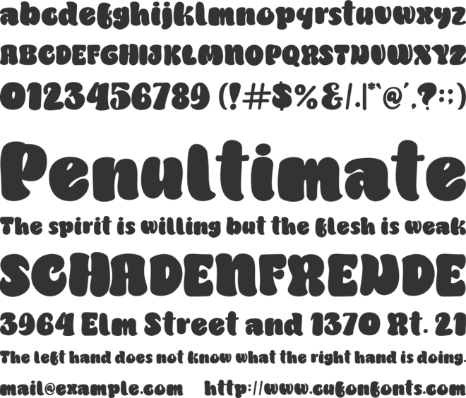 Neko Neco font preview