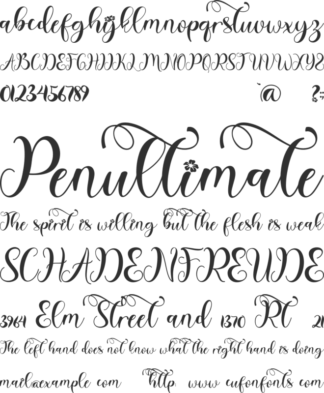 Winter Christmas Monogram font preview