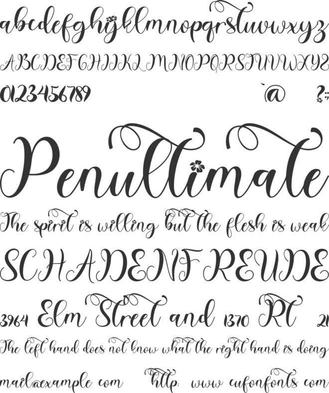 Winter Christmas Monogram font preview