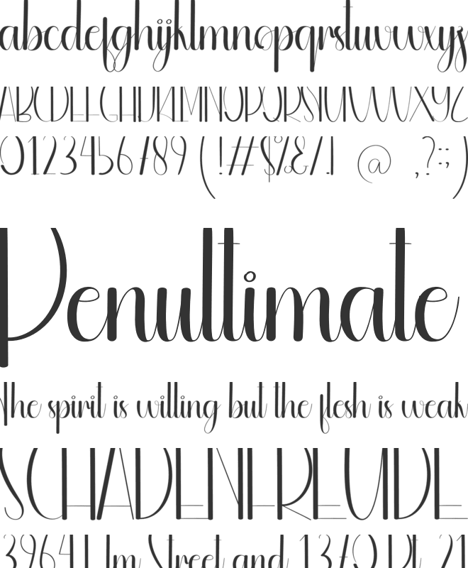 Briefing font preview