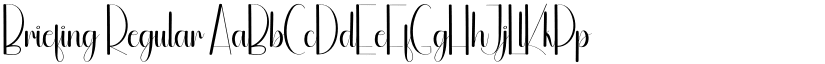 Briefing Regular font