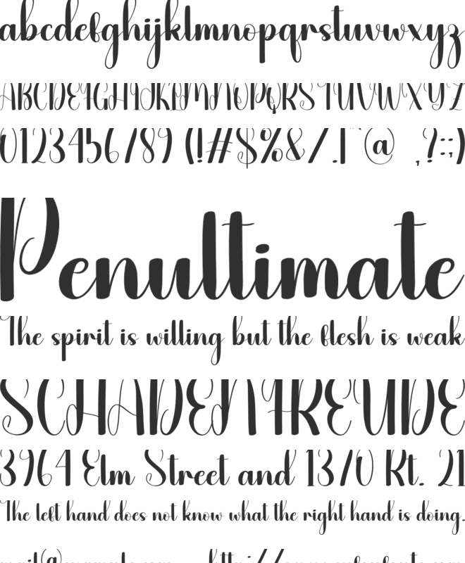 Daily Gift font preview