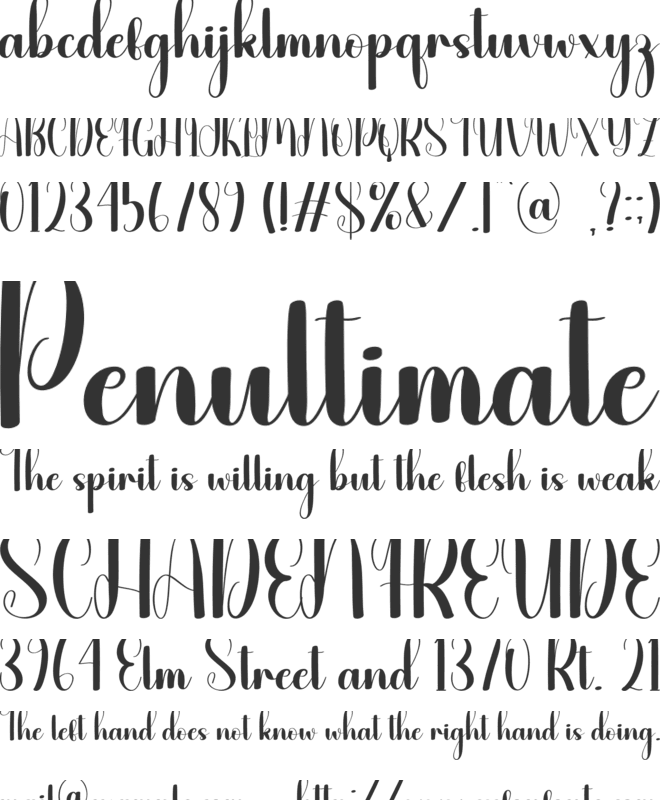 Daily Gift font preview