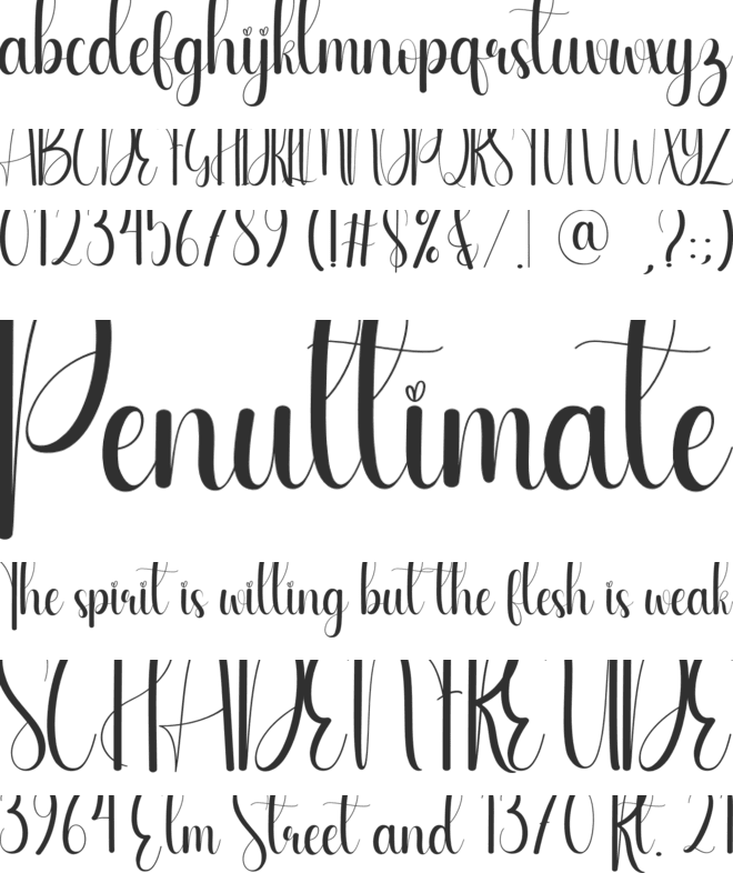 Amfiby font preview