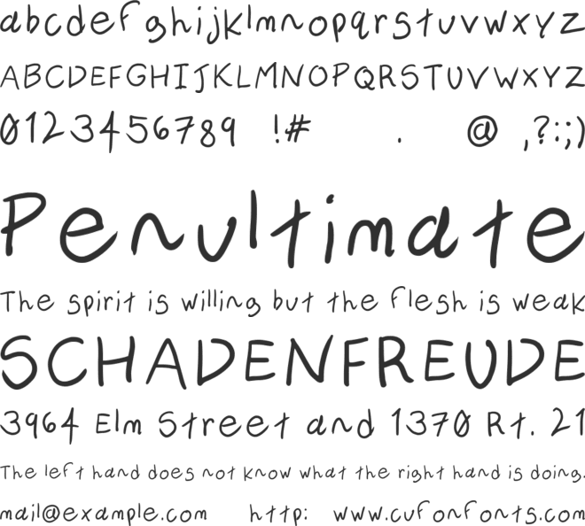Novice Writer font preview