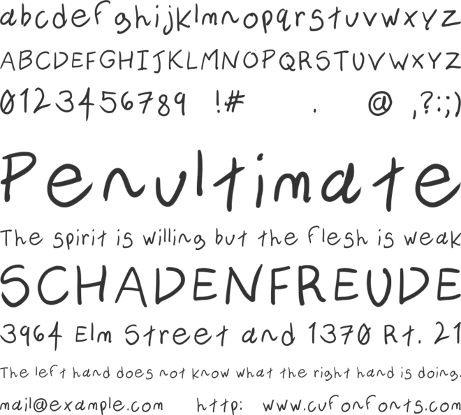 Novice Writer font preview