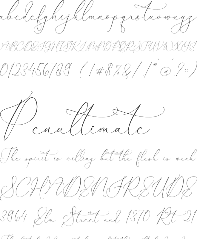 Foresta Monesta Script font preview