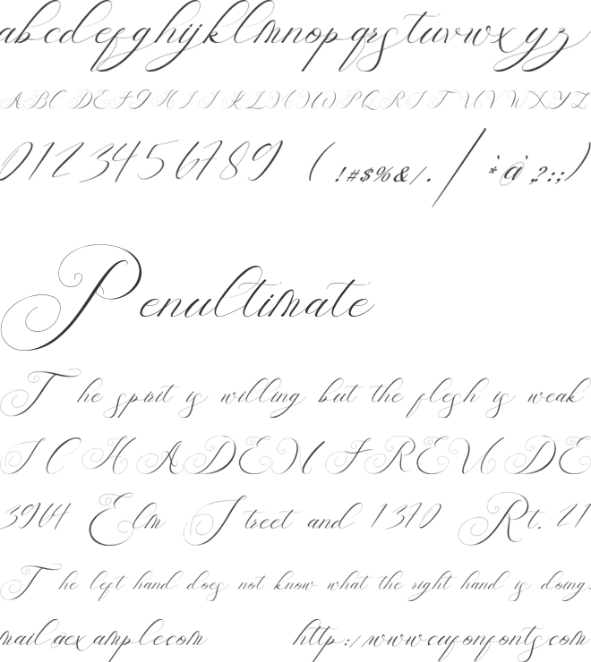 Holsity font preview