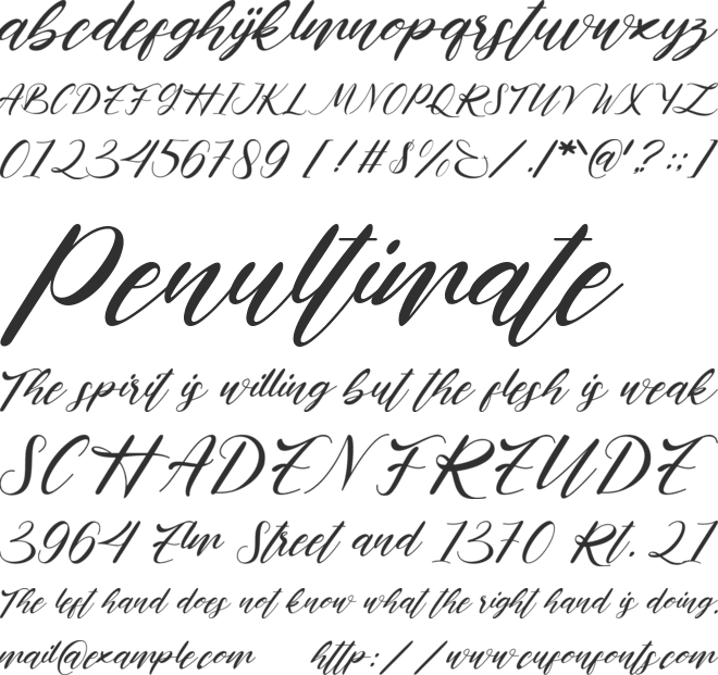 Holafams font preview