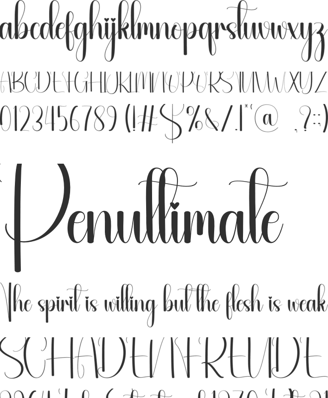 Forth font preview