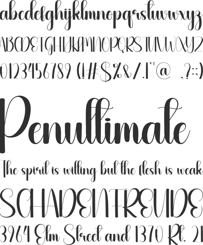 Neatness font preview